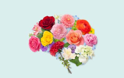 Storytelling – Using our own stories to engage in purposeful discussion that create lasting relationships and memories